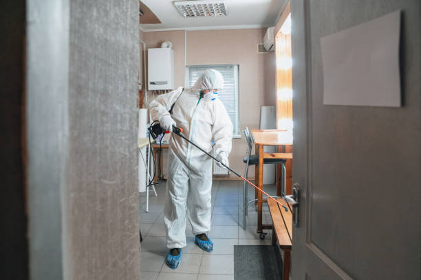 Klamath Falls, OR Mold Removal Company